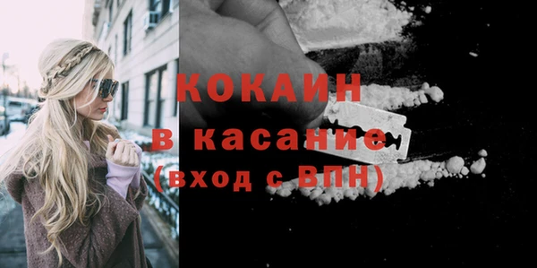 прущие грибы Абинск
