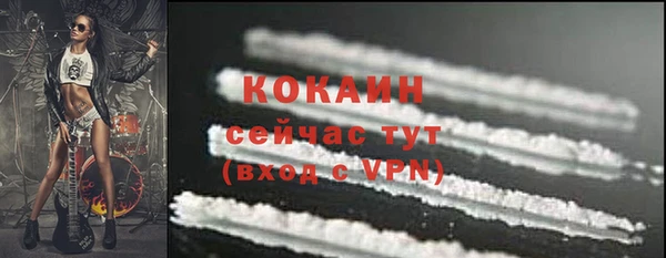 ГАЛЛЮЦИНОГЕННЫЕ ГРИБЫ Магас
