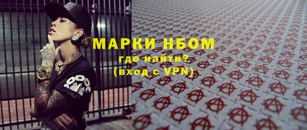 прущие грибы Абинск