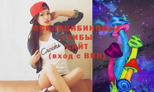 индика Магадан
