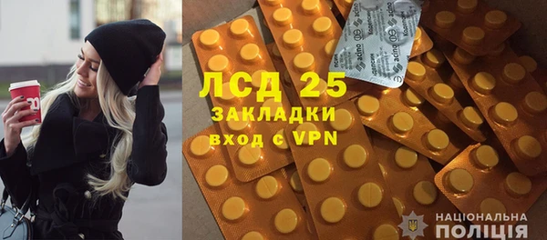 прущие грибы Абинск