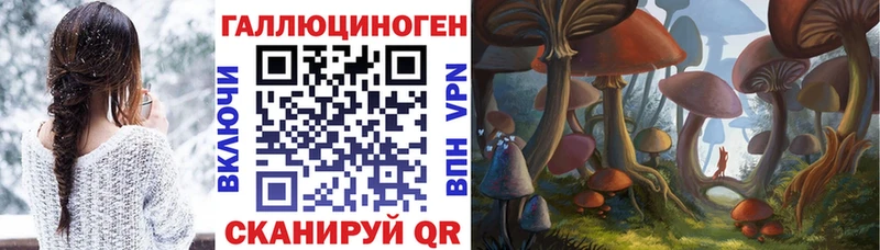 Галлюциногенные грибы мицелий  продажа наркотиков  Урус-Мартан 